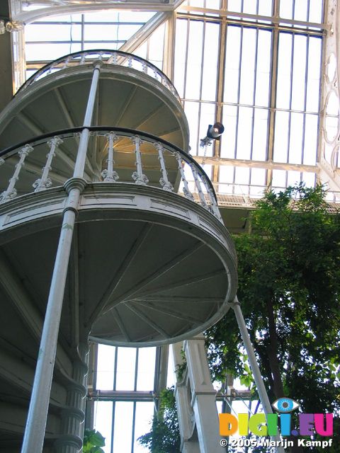 15472 Temperate house spiral staircase